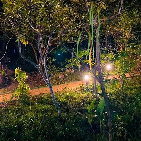 Sigiri Starwing Villa Sigiriya Eksteriør bilde