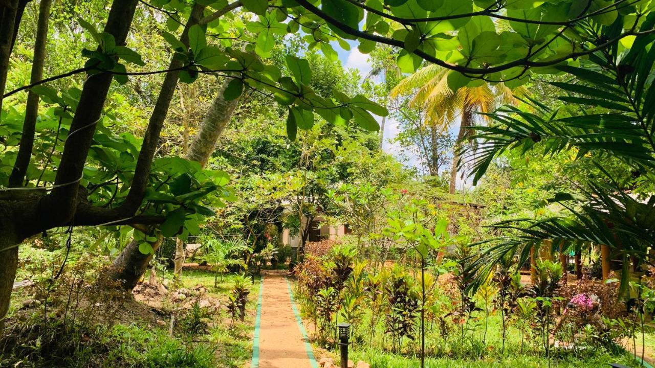 Sigiri Starwing Villa Sigiriya Eksteriør bilde