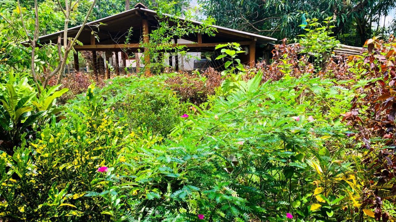 Sigiri Starwing Villa Sigiriya Eksteriør bilde