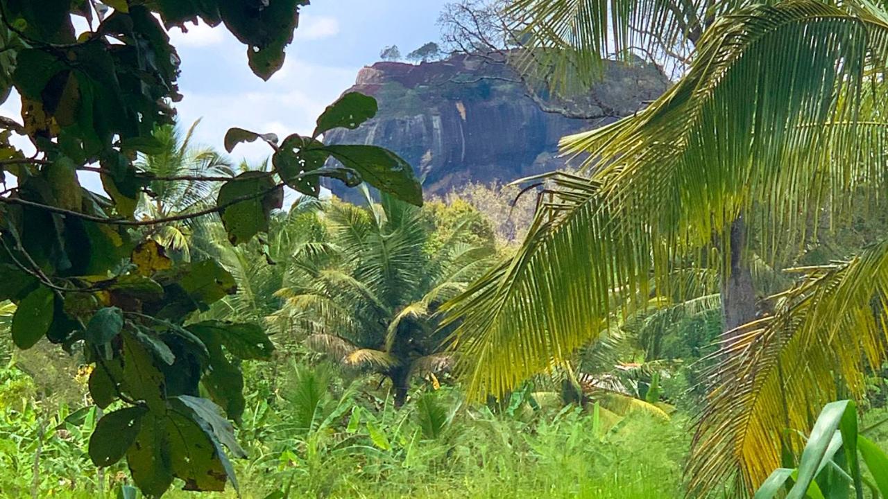 Sigiri Starwing Villa Sigiriya Eksteriør bilde